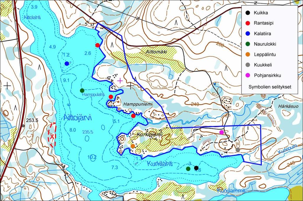 15 Liitekartta 2 Aittojärven selvitysalueen rajaus sinisellä viivalla ja suojelullisesti huomioitavien lajien tapaamispaikat värillisillä pallukoilla esitettyinä.