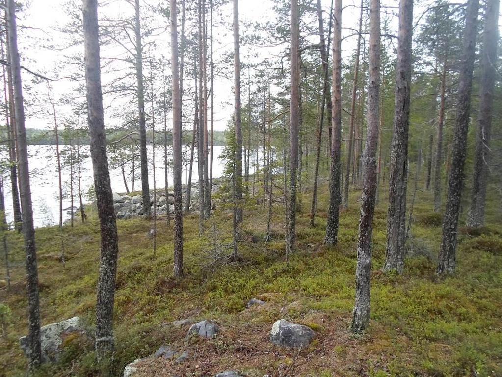 Lahti on myös maisemallisesti