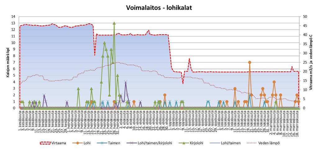 Taulukko 3. Koivukosken voimalapadolla ylävirtaan uineet kalalajit ja lajiryhmät sekä niiden kappalemäärät. Laji Määrä kpl Määrä % Keskipituus cm Suurin pituus cm Pienin pituus cm Ahven 1189 70.7 30.