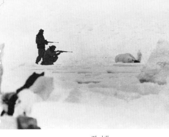 kahden kilometrin päässä pohjoisnavasta. Seuraavana aamuna Herbert nousi varhain.