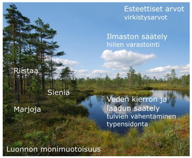 Kaivostoiminta on vilkastunut ja huomattavan suuria kaivoshankkeita on toteutettu ja suunnitteilla. Luonnonvarojen käyttö on muutostilassa.