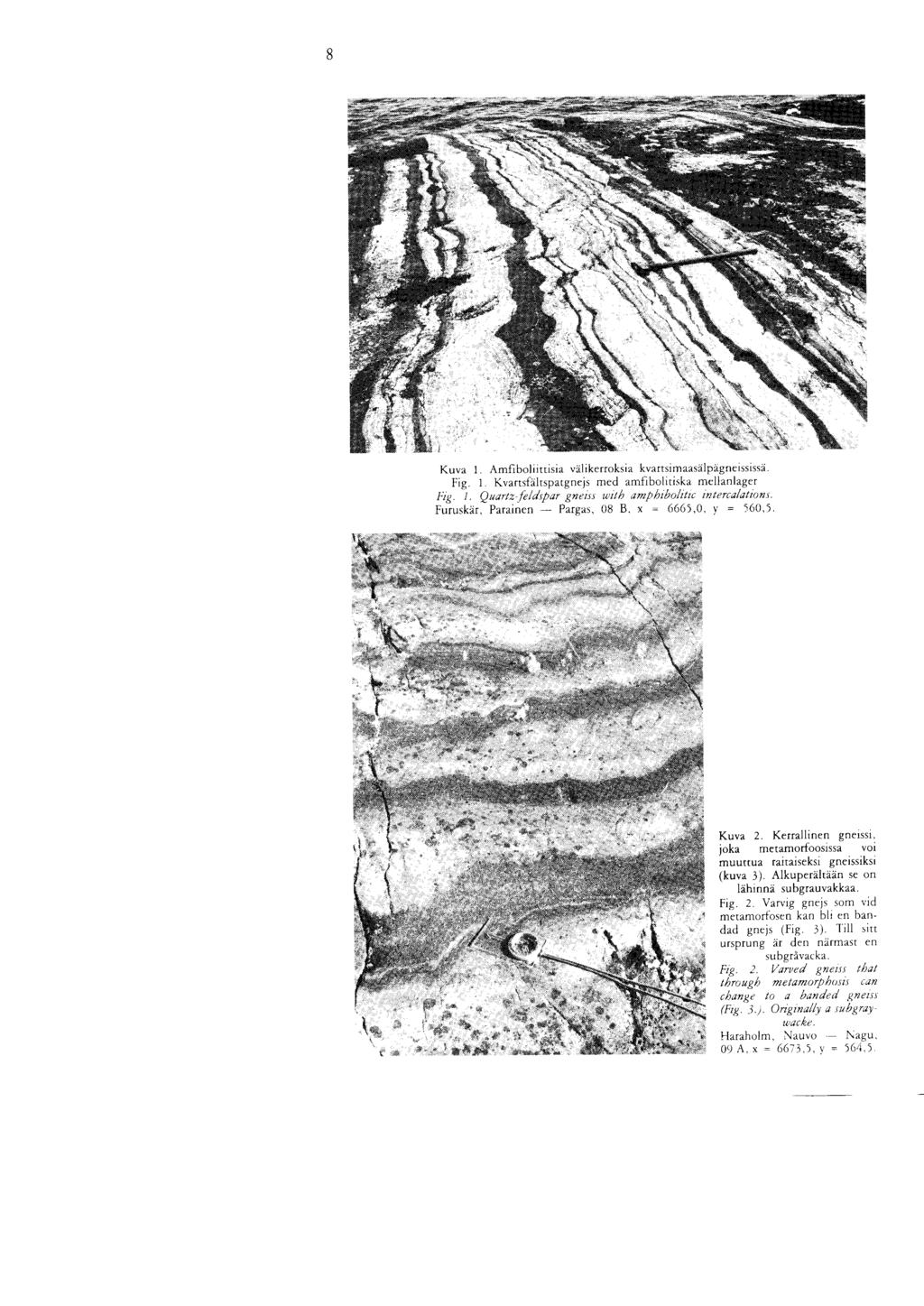 8 Kuva 1. Amfiboliittisia valikerroksia kvartsimaasalpagneissi,, a. Fig. 1. Kvartsfaltspatgnejs med amfibolitiska mellanlager Fig. 1, Quartz feldspar gneiss with amphibolitic intercalations.