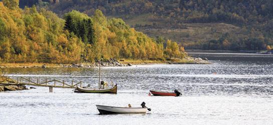 Leirintäalueet ovat Pohjois-Norjassa erittäin yleisiä, ja niitä on paljon ja kaikkialla. Leirintäalueet toimivat samaan tapaan kuin Suomessa.