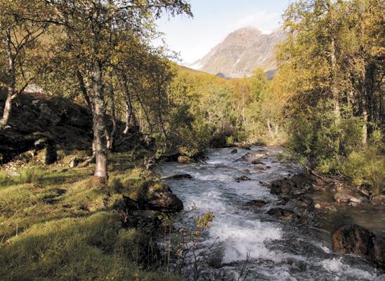 Vuorovesi Pohjois-Norjan rannikko on yksi Euroopan voimakkaimmista vuorovesialueista.