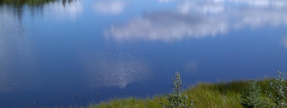 retkeilyalueet Kriisiaikojen elintarviketuotanto