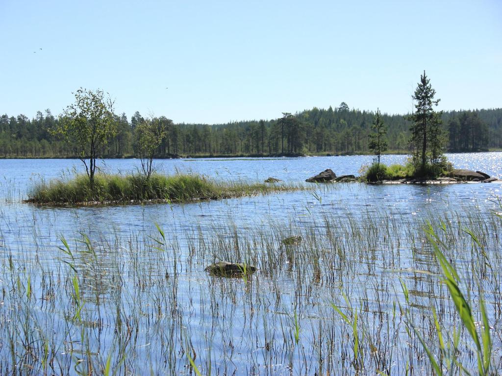 Enoni Lauri Karila kävi