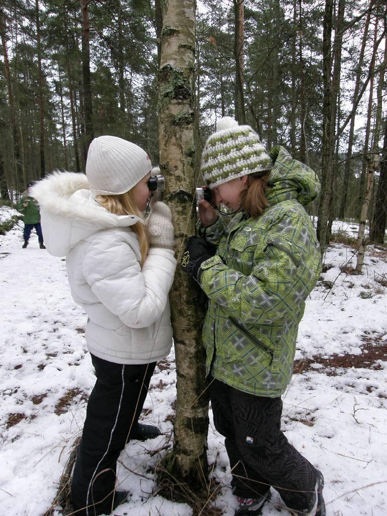 Mitä annettavaa formaalille sektorille? Kokemus ulkona ja teeman mukaisissa ympäristöissä opettamisesta (mm.