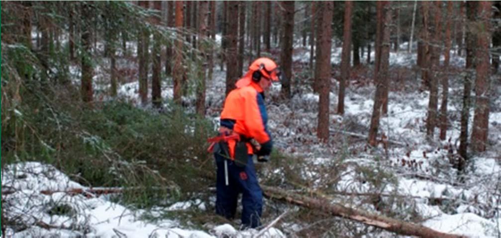 MHY Lakeuden puukaupan palvelut Puunmyyntisuunnitelma (ilmainen) Puukaupan toimeksianto Mhy:n korjuupalvelu vaihtoehtona