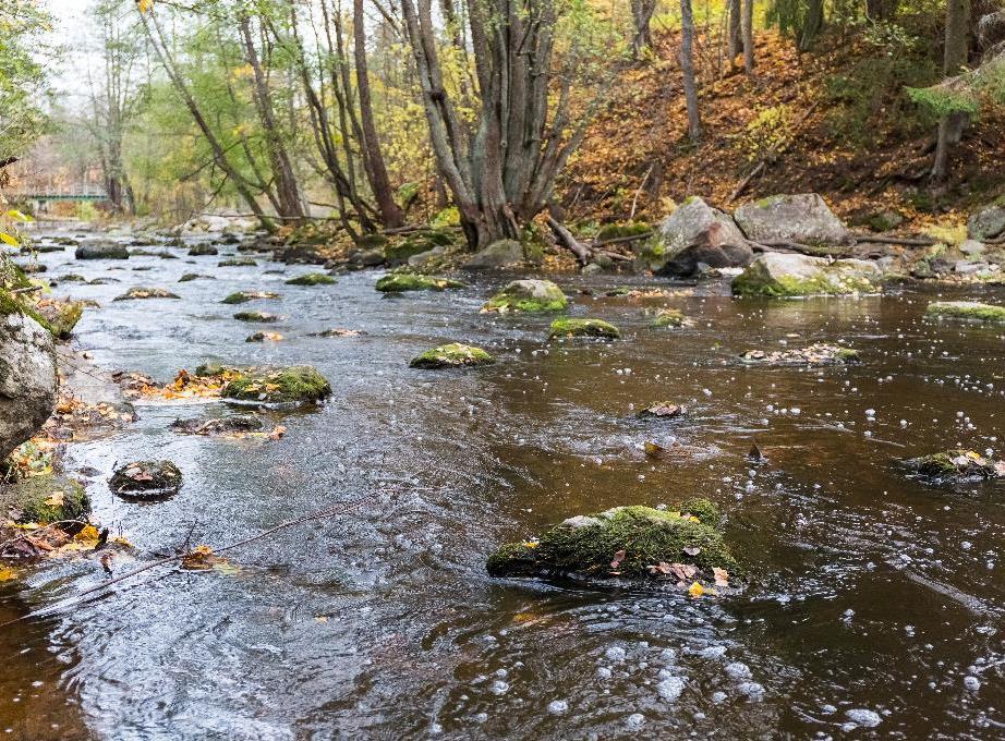 Miksi kalat vaeltavat? Kalat vaeltavat lisääntymisalueen ja kasvualueen välillä Lohikalojen lisääntyminen virtavesissä, missä mädille ja poikasille hapekasta vettä, ravintoa ja suojaa.