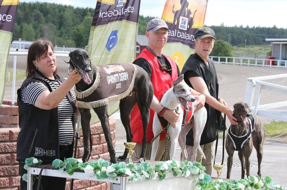 Ulosajautunut sisäpuolen koira siirtyy ulospäin. Sen verran hidastui veteraani-auliksen meno, että vuoden 2016 voittaja on nyt neljäs. Taunolle finaalin ruuhka aiheutti sairasloman.