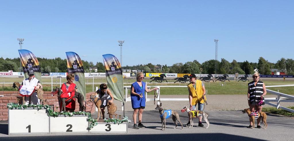 Whippetien Sprintti Derby 2017 Theo aloitti lupaavasti - ja podiumille Whippetien SD:ssä kaksi alkuerää, molemmissa poisjääntien takia kolme koiraa.