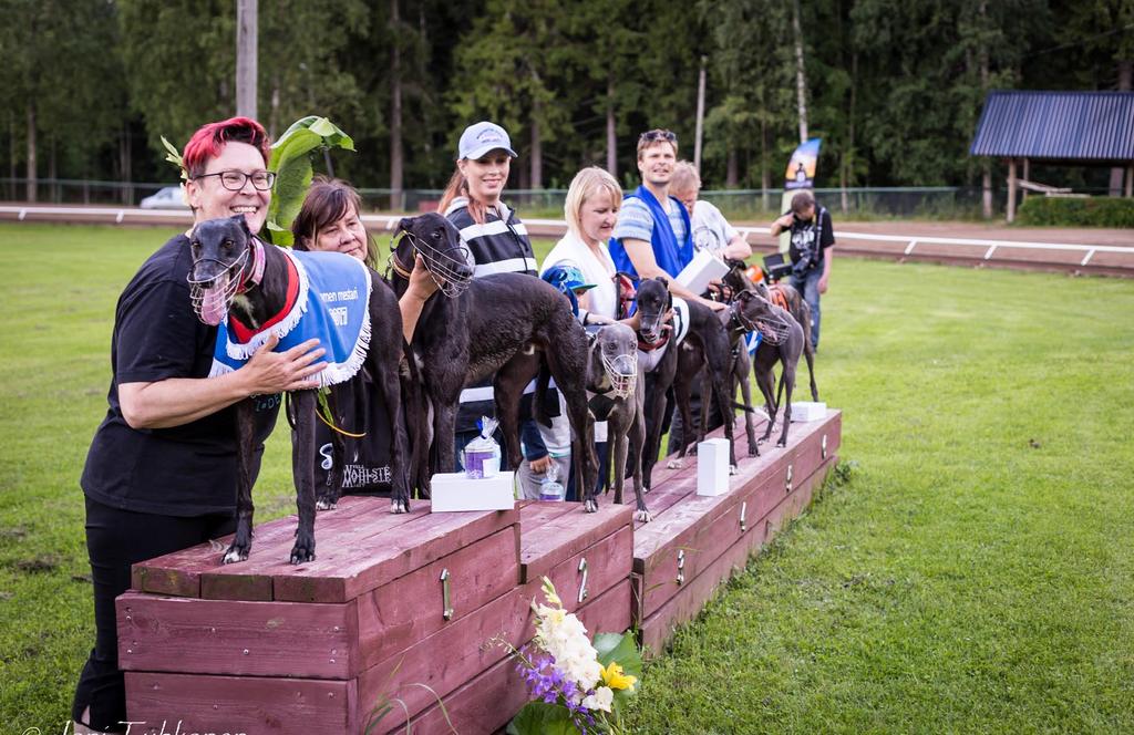 SM - kauden kohokohta Siru pukeutui sinivalkoiseen Suomi 100, Saphira Suomen mestari! Mutta missä ovat greyurokset? Nartuille olisi noussut oma SM-kisa, mutta uroksia ilmoittautui vain seitsemän.