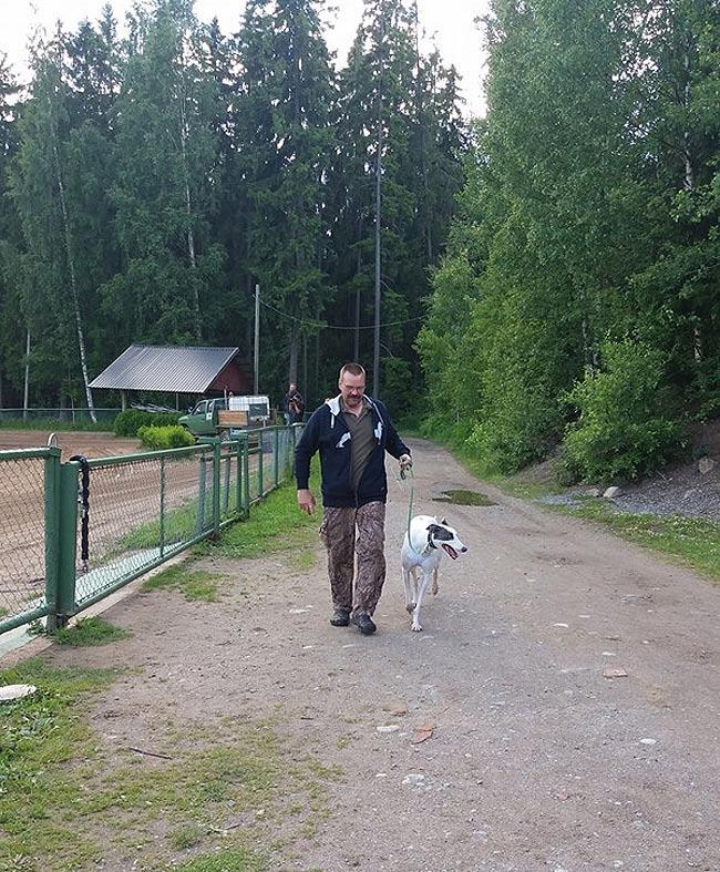 Juhannuskisojen letkein pari, Aki ja Zeus. (Kuva: Päivi Vähäkoski) Iskän Dieselistä kilpakoira Hyvillä mielin starttasi kotiin myös Zeuksen handleri, Aki.