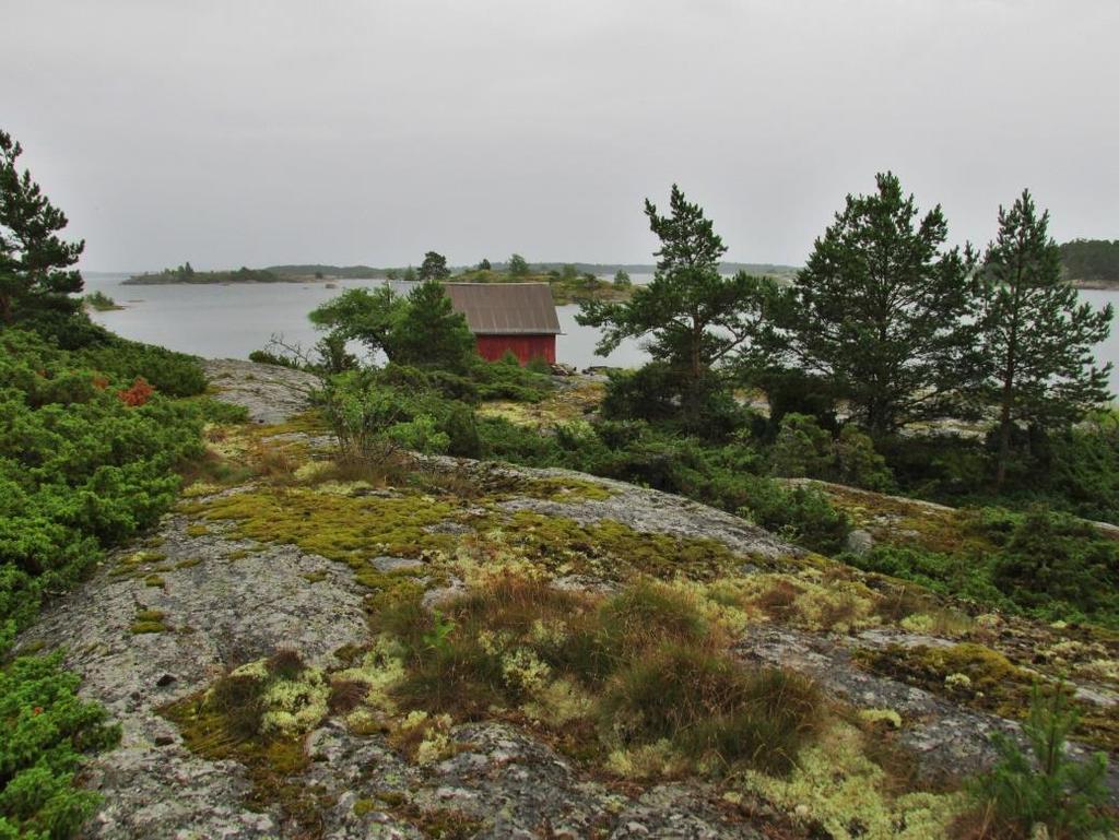 Lempnäsin saaren kaavamuutosalueen luontoselvitys