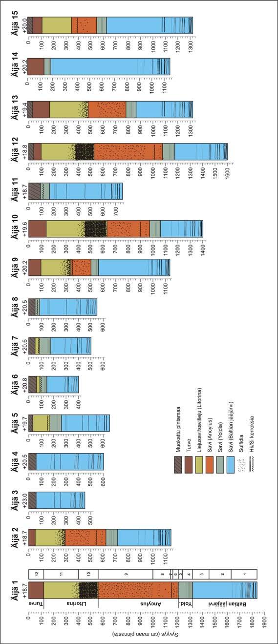 Äijänpelto, Espoo 9 Kuva 4. Sedimenttien kerrosjärjestys näytesarjoissa Äijä1-Äijä15.