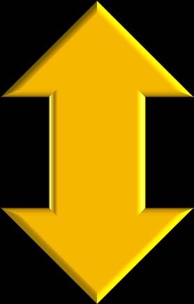 ORGANISAATIO