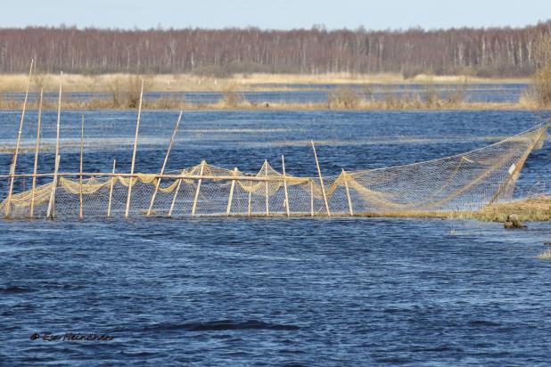 Kalastajien vaatimaton leiri joen