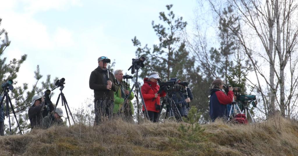 Staijausta Hollywoodin laella. Valok. Esa Heinänen. Perillä Võrtsjärvellä meillä oli hetki aikaa hengähtää ja ihailla Viron toiseksi suurinta järveä.