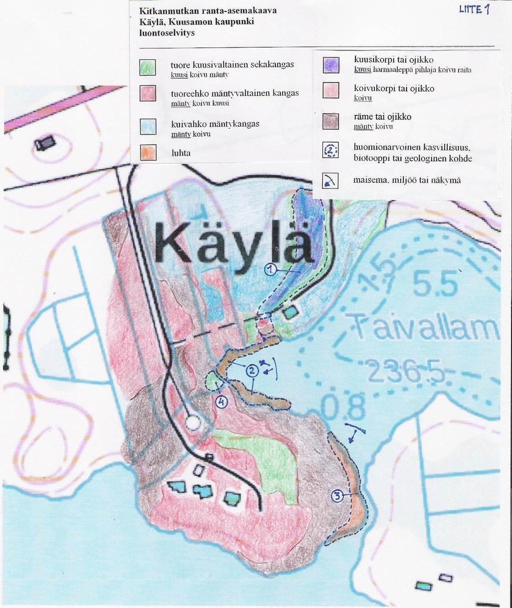 Kuva 8. Alueen luonnonympäristön ja maiseman kannalta huomionarvoiset kohteet (1-4) SUOSITUKSET Luontoselvityksen perusteella on annettu joitain suosituksia alueella havaituista kohteista. Kohde 1.