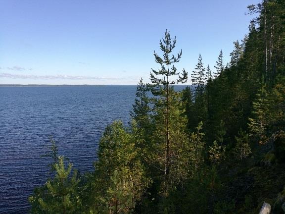 Ärjänsaaren kehittämisen yleisiä suuntaviivoja Ärjää tullaan kehittämään luonnonsuojelualueena,