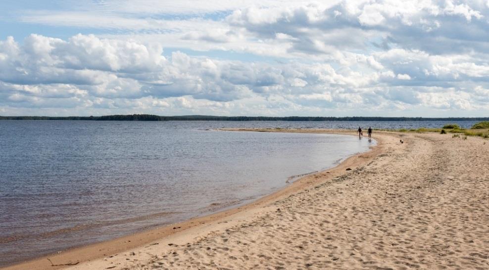 Ärjänsaaren potentiaali luontomatkailussa Ärjänsaarella on ollut toistaiseksi hyvin vähän matkailullista käyttöä Vain muutama matkailuyritys tarjoaa Ärjään suunnattua ohjelmaa Ärjällä on kuitenkin