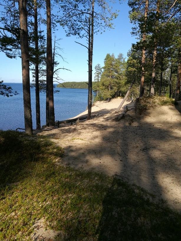 Ärjänsaari Kainuun meren paratiisisaari Nykytila Retkeilyvarustelu: Laiturit Polkuverkosto, ei opasteita Huonokuntoiset nuotiopaikat ja käymälät, keskuspolttopuuvarasto 9 kpl Eino Pitkäsen suojeltuja