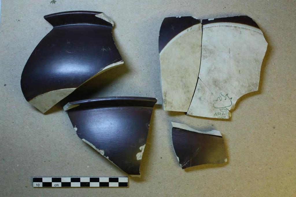 Kuvaaja: Petro Pesonen. AKDG 5187: 160.