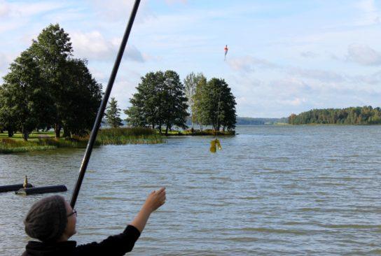 teen Teehetki maistelun lisäksi Aluksi