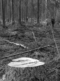 Kuva 1. Jälkikäteen lavastettu kuva NN:n paikasta ja asennosta tapaturmahetkellä.