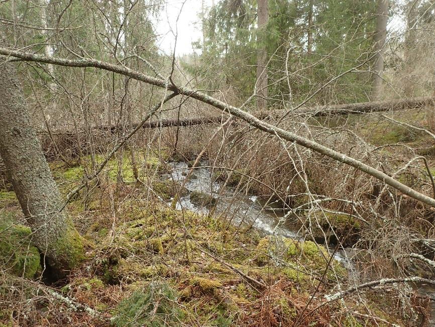 rinteen päältä lounaaseen.