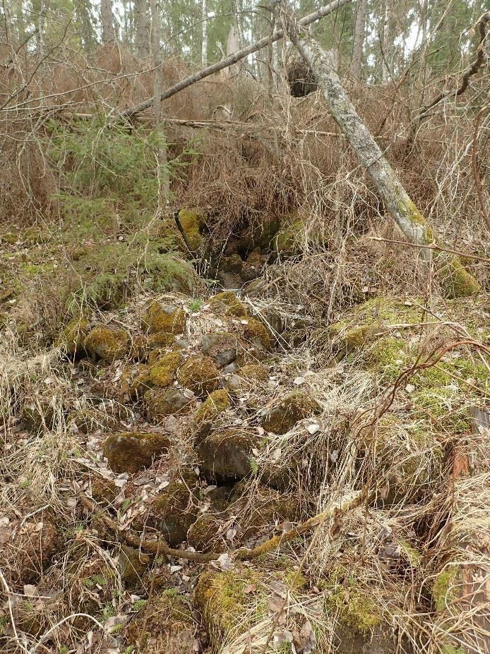 Myllynpaikat rydön alla - sen reunamilta tarkasteltuna uoman