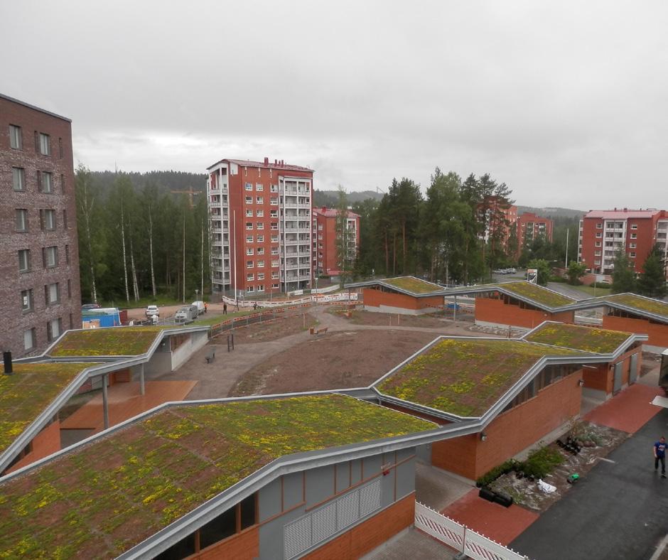 Talousrakennuksen tulee olla alisteinen päärakennukselle (koko, massa, muoto). Harjakorkeus ei saa ylittää 4 metriä. Kattomuodon tulee olla pulpetti-, kaksoispulpetti- tai harjakatto.