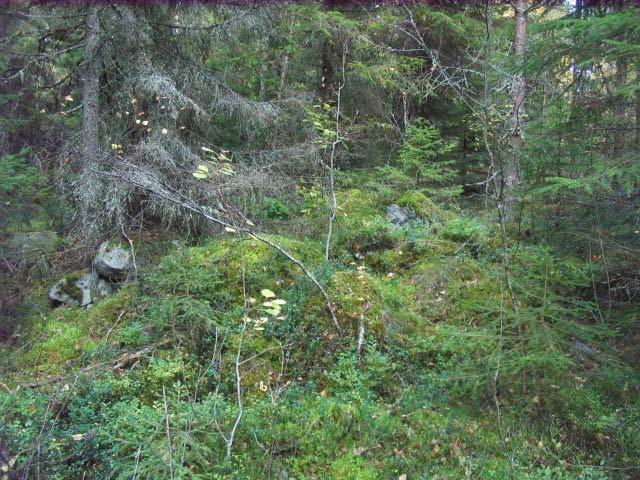 röykkiö 4. Lounaasta.