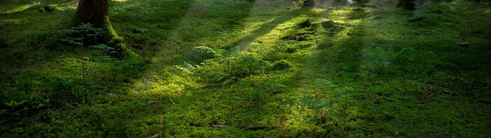 Jäteveden sähkönjohtokyky ja lämpötila 26.1.