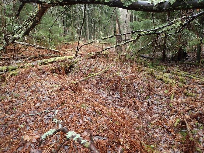 pohjoispuolella, joka luonnonkivistä laadittu