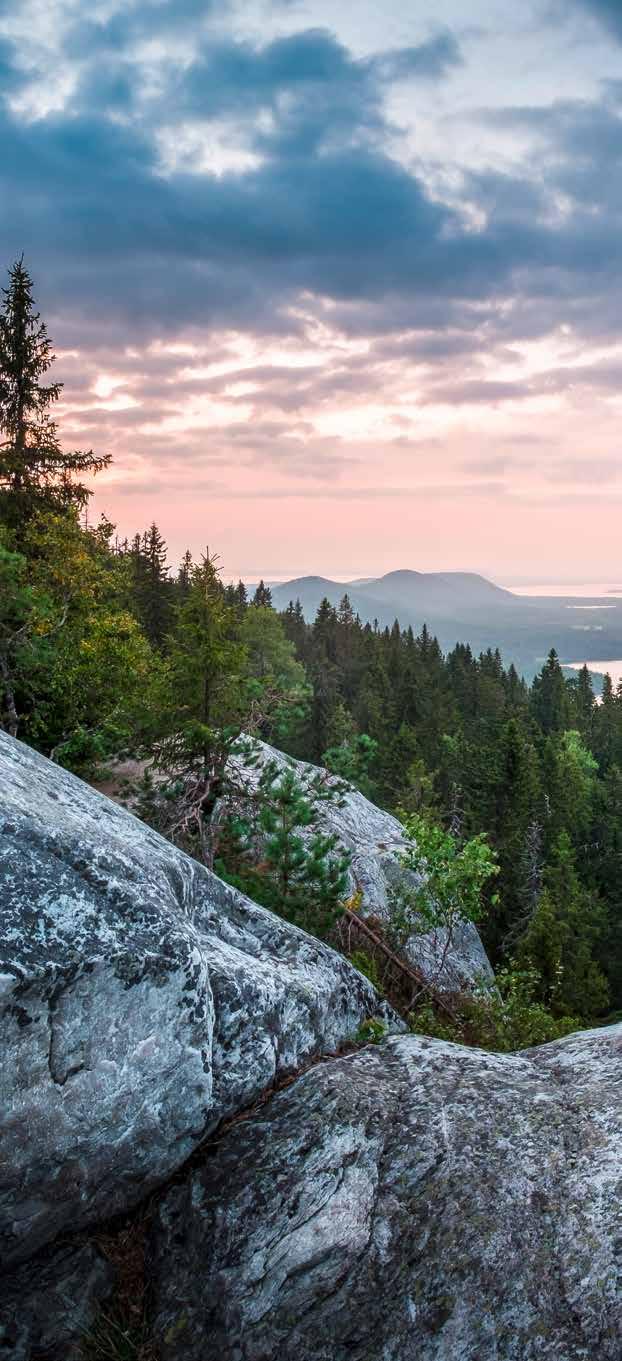 Retrot o k i i v r burge -vanhat suosikit tekivät paluun- Riistaviikot 18.9. 28.10. Tervetuloa herkuttelemaan!