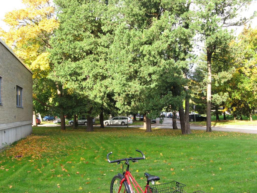 25 Kuva 7. Rakennuksen B4 päätyyn sijoitetaan työmaatilat. 4.4 Jätehuolto Työmaalla kertyvälle jätteelle on kaksi keräyspaikkaa.