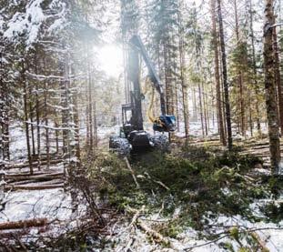 ja kuljetuksen tarkempaan ohjaukseen Pysyvä tiestödata ja korjuukelpoisuusluokitus