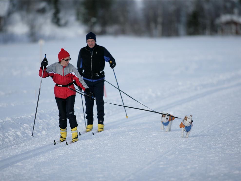 Ulkoilureitit Jokamiehenoikeudet