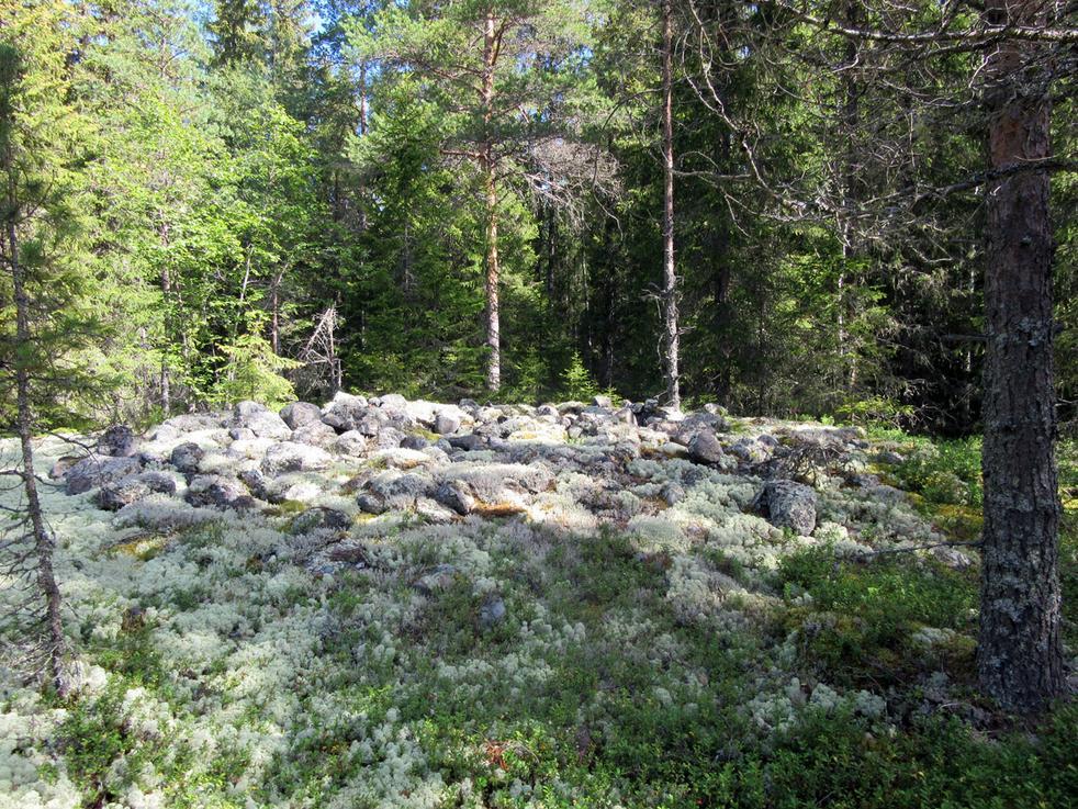 12 Maastotiedot: Noin 1 km Majavajärvestä pohjoiseen, vajaa 100 m pitkän kallioalueen eteläosassa. Kallion rinne laskee suhteellisen jyrkästi itä- ja pohjoispuolelle Kiukaannevan suolle.