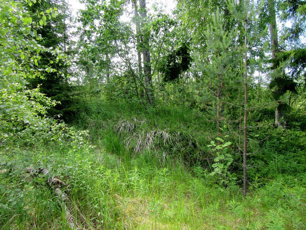 16 Lapinpäänkallliot,