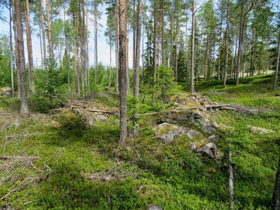24 Itäiset vallit pohjoiseen.