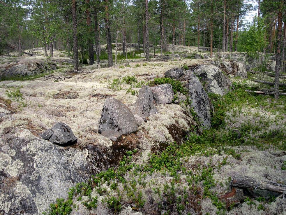 25 Lapinpäänkalliot