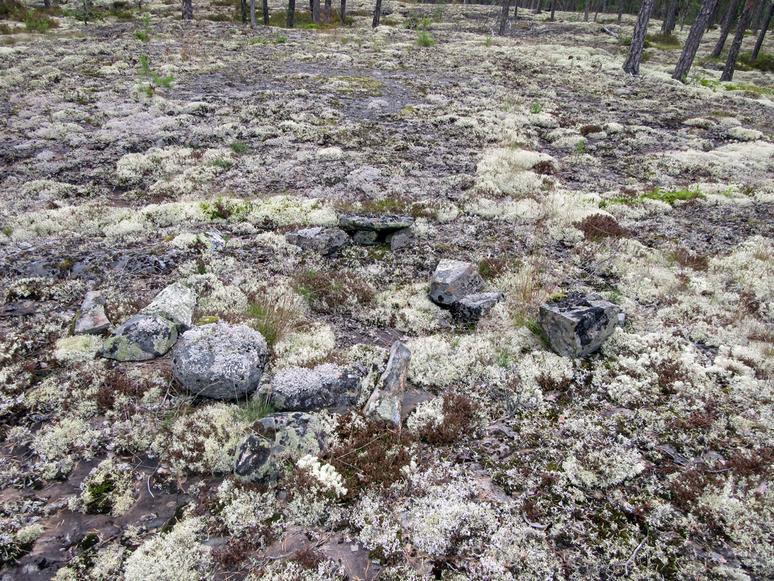 latomusten