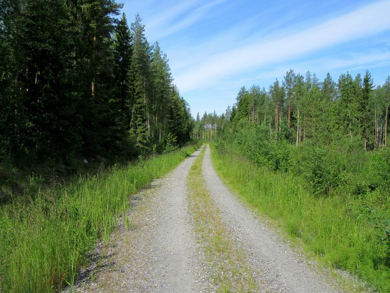 33 4 Voimalapaikan pohjoispuolista