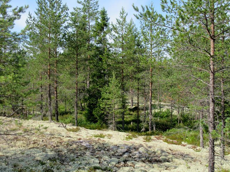 8 Voimalapaikkojen