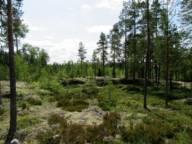 Toukkalankallioilla.