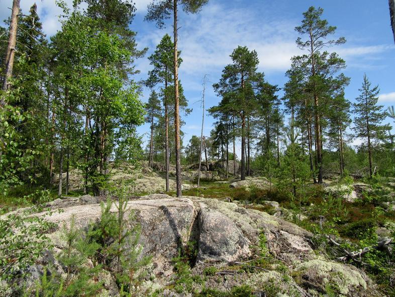 11 Lapinpäänkallioiden lakea.