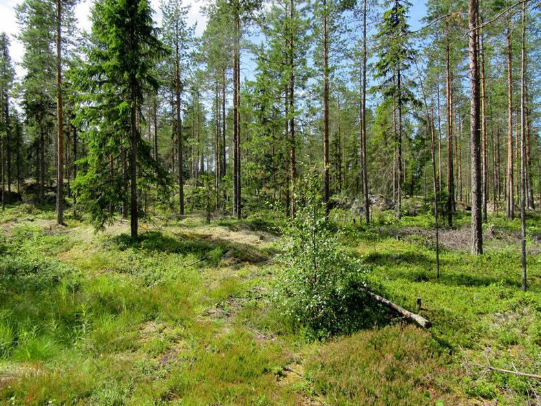 36 13 Vaikutusaluetta