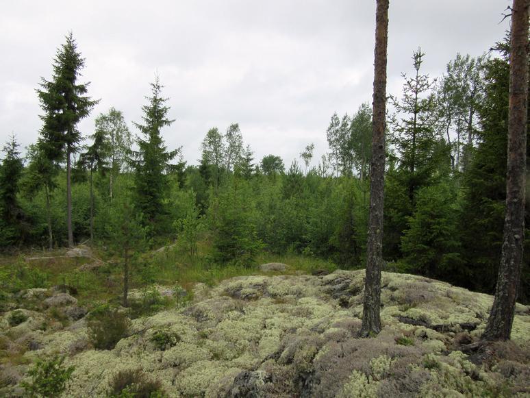20 Perämaan kallioalueita.